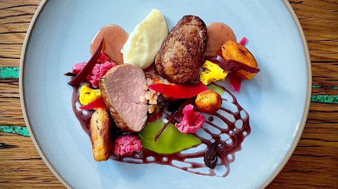 pork tenderloin, parsnip, fermented blackberry.jpeg pork tenderloin, parsnip, fermented blackberry.jpeg