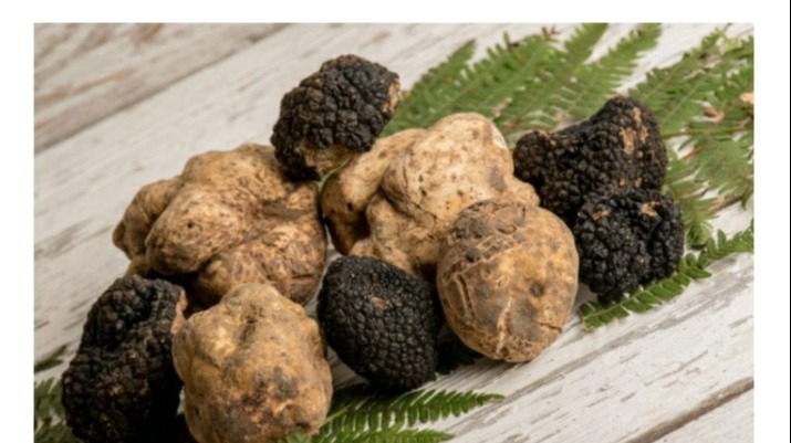 freestyle menu with seasonal, organic and sustainable products.