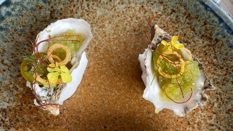 oyster.jpg