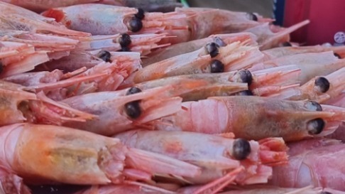 20220527_185229.jpg 20220527_185229.jpg