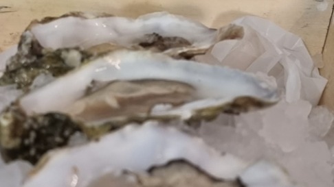 20220527_191212.jpg 20220527_191212.jpg