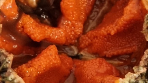 20220521_173850.jpg 20220521_173850.jpg