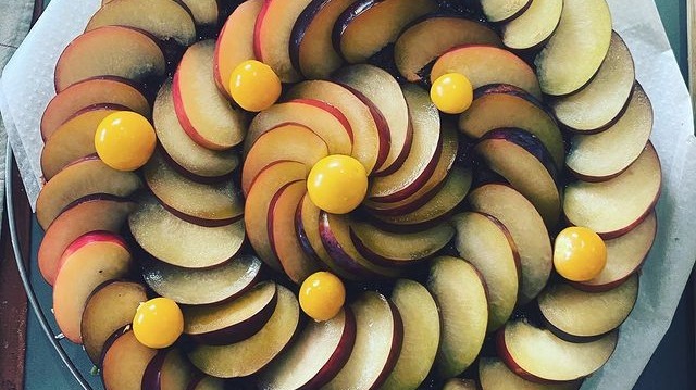 274843627_1091293305047309_518723238129833137_n.jpg