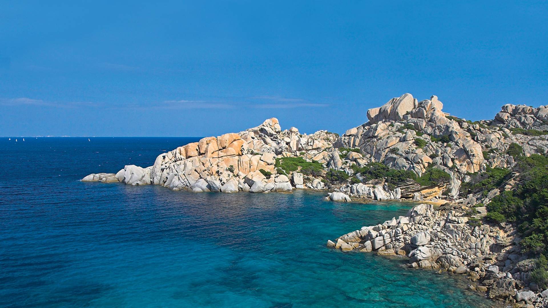 mediterraneo