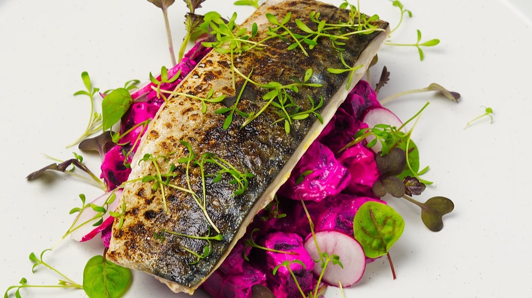 Mackeral_resized.jpg