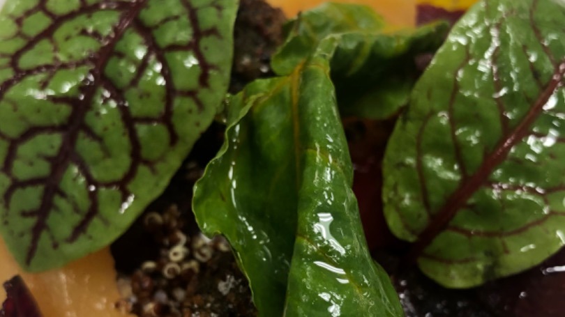 C16571DE-79CB-4A25-9E8A-F040CCCA9D34.jpeg