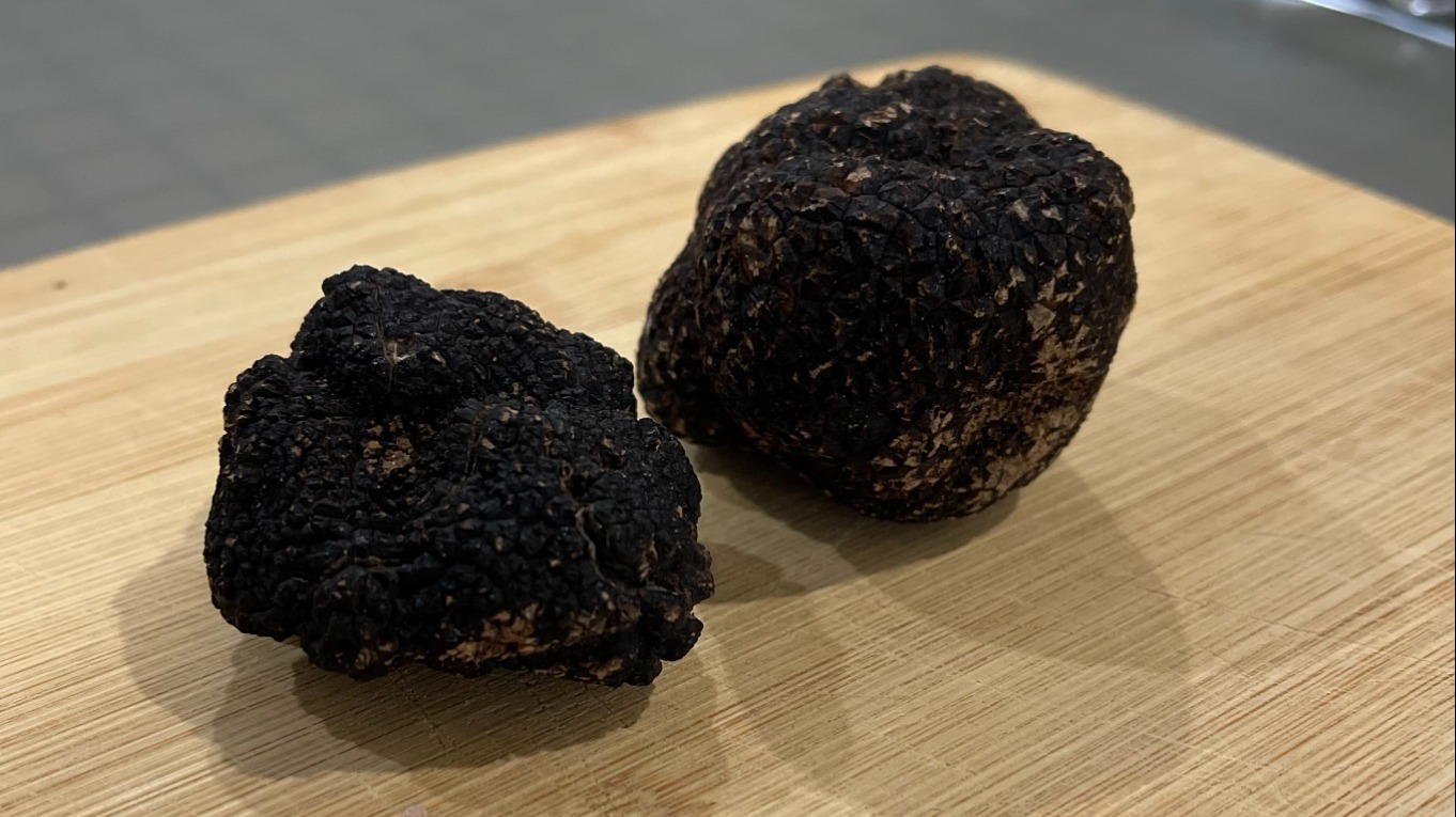 Truffle experience