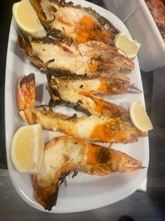 IMG_1748.jpeg