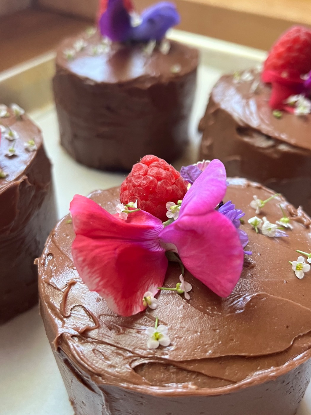 IMG_0052.jpeg IMG_0052.jpeg