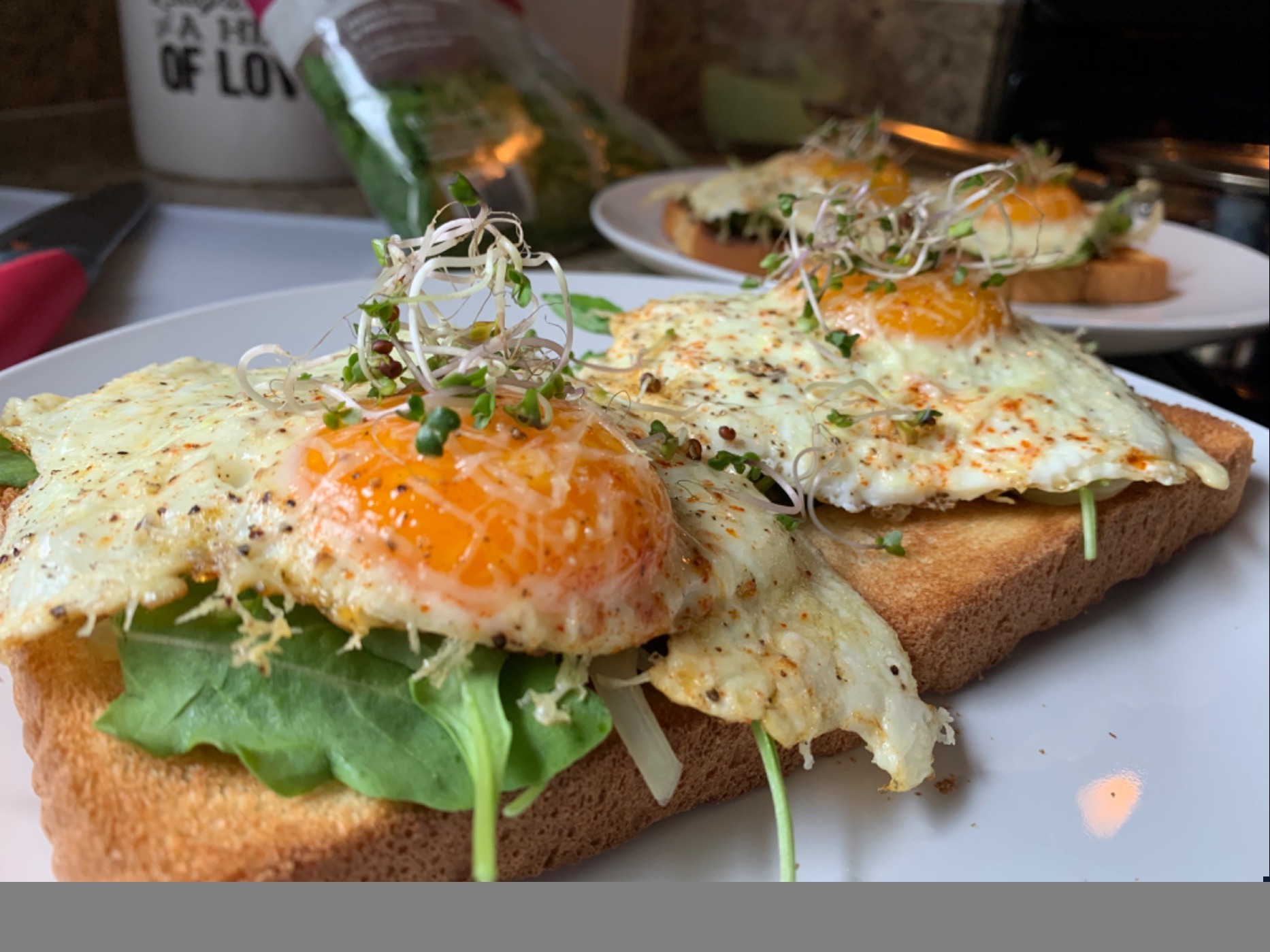 IMG_1972.jpeg IMG_1972.jpeg