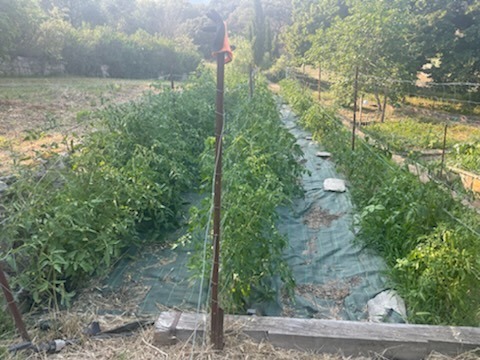 IMG_20230914_105159.jpg