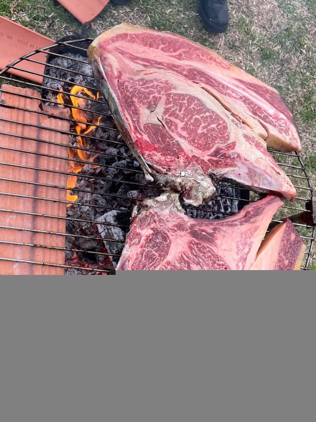 IMG_0964.jpeg