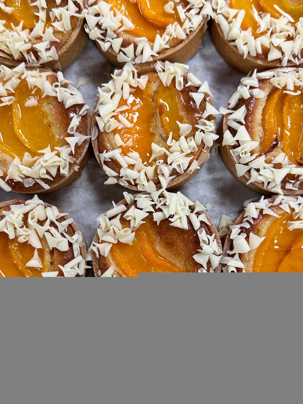 IMG_0467.jpeg IMG_0467.jpeg