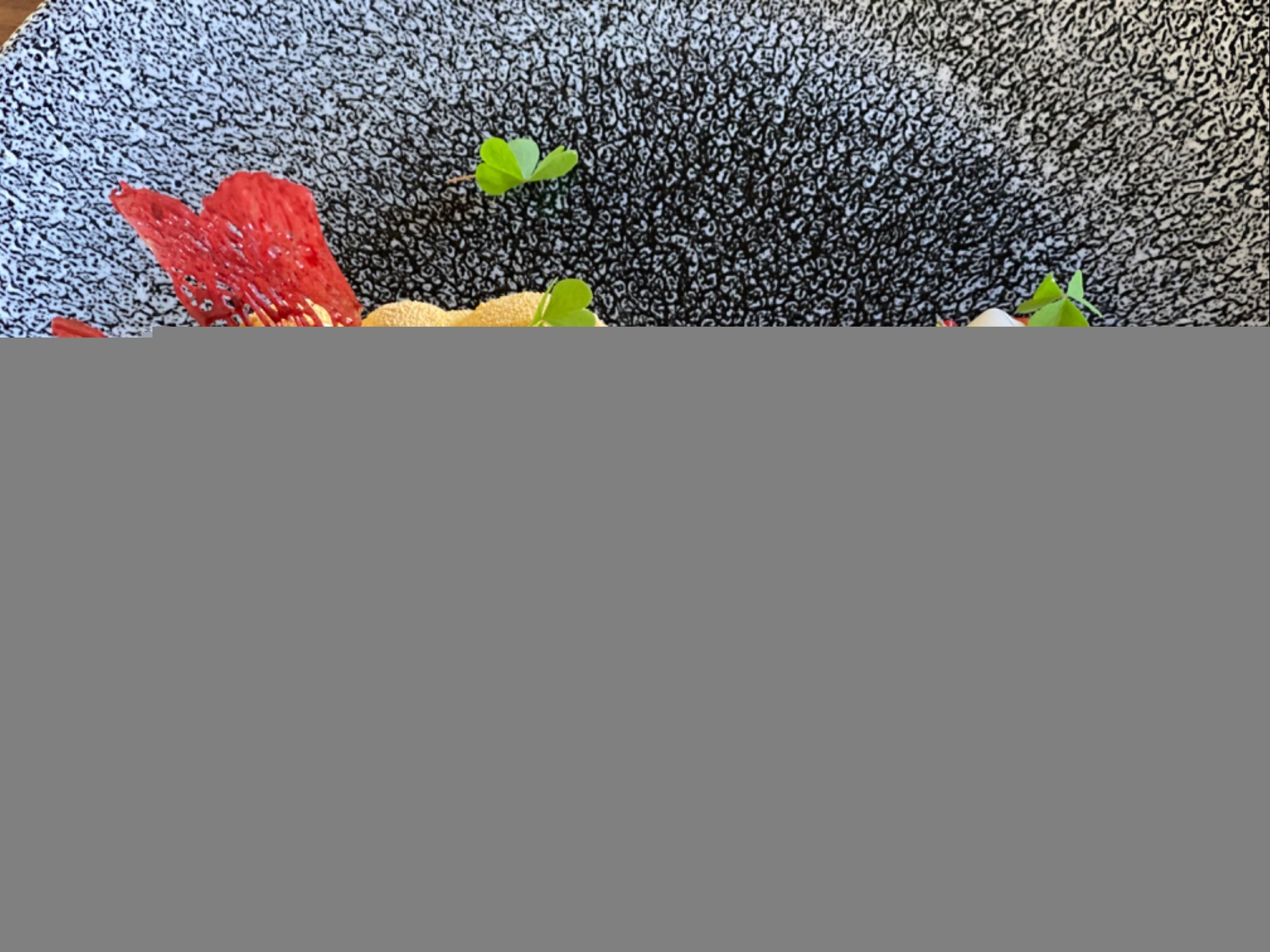 IMG_9757.jpeg