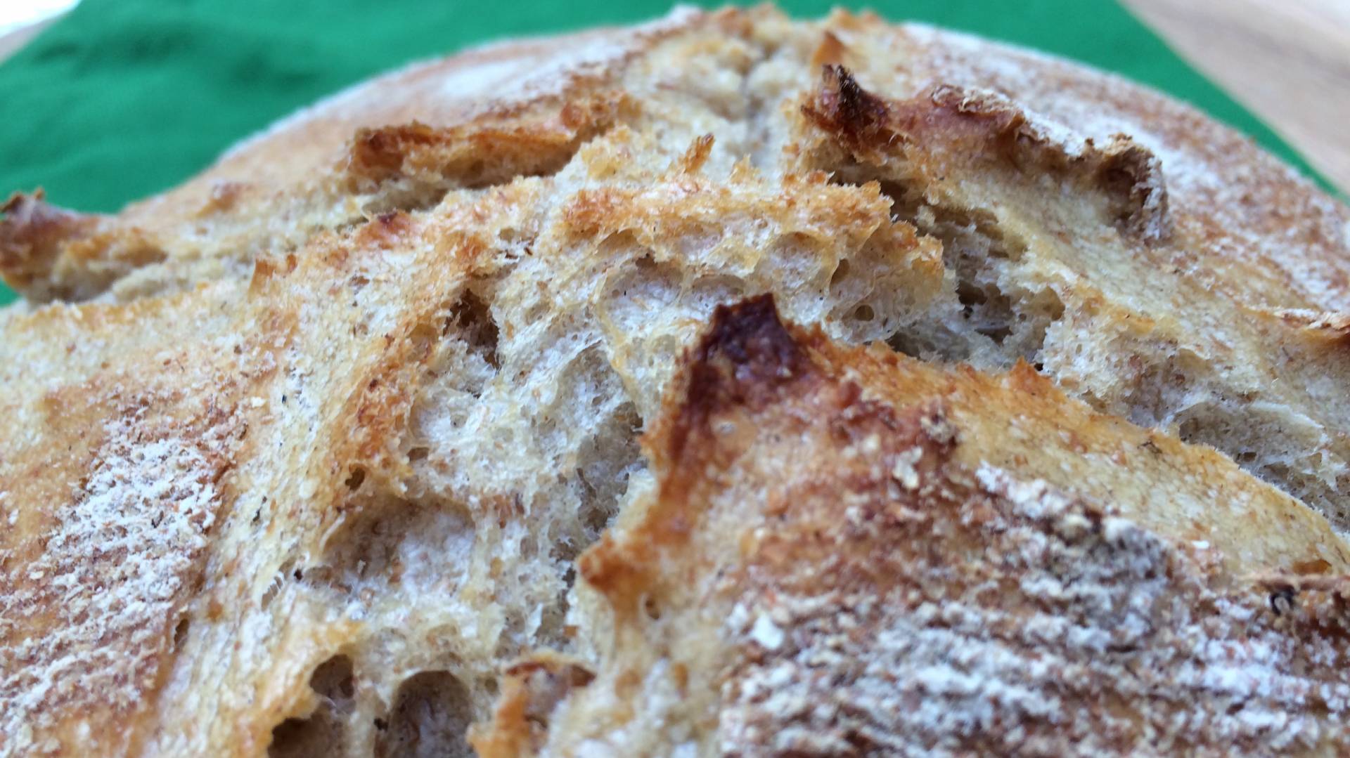 Sourdough crust.JPG Sourdough crust.JPG