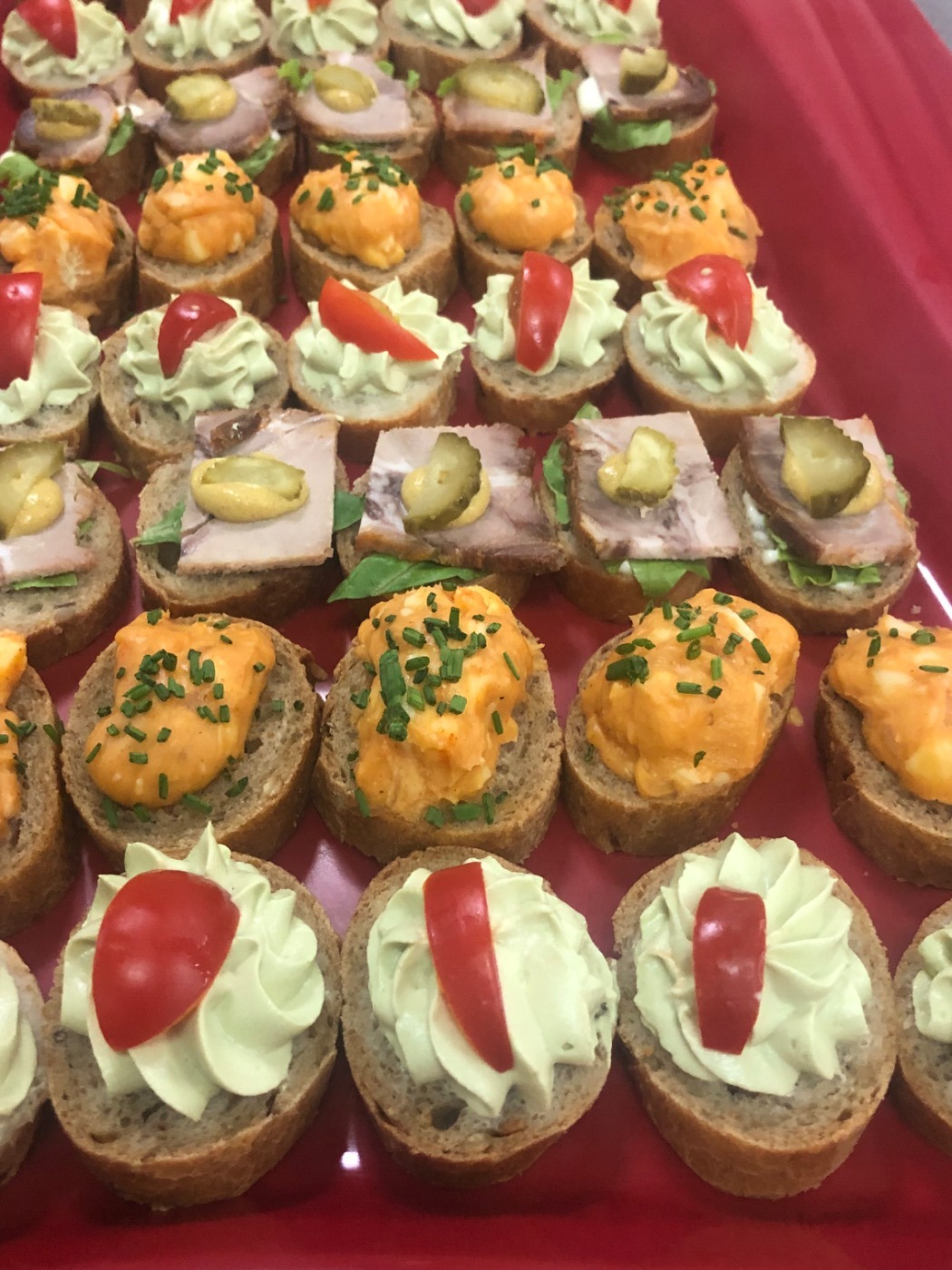 IMG_0221.jpeg IMG_0221.jpeg