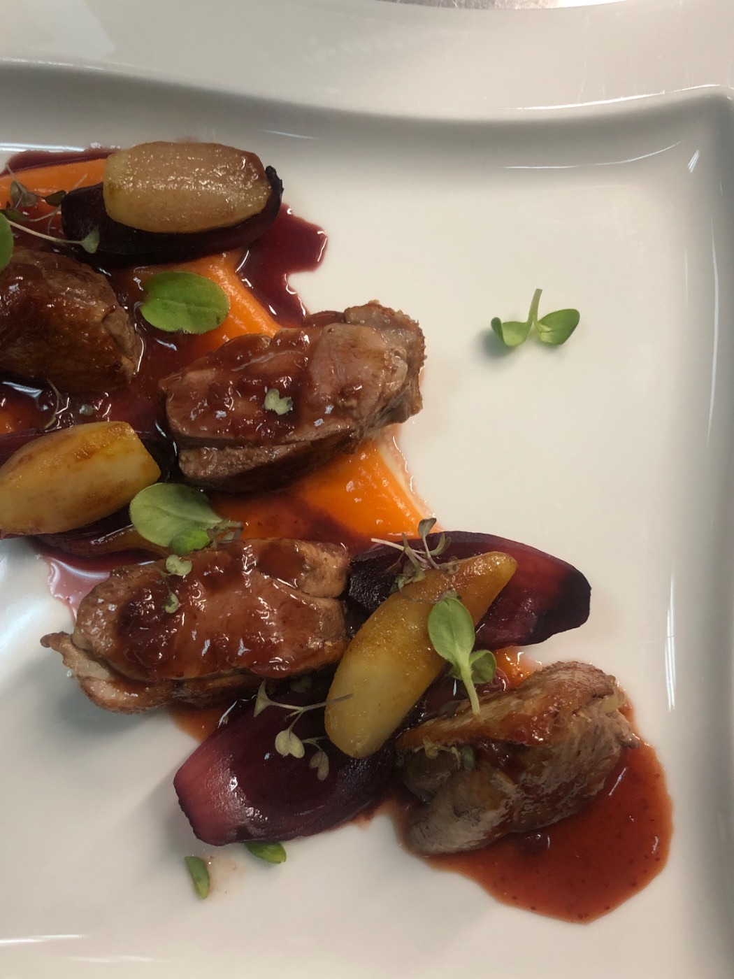 IMG_0082.jpeg IMG_0082.jpeg