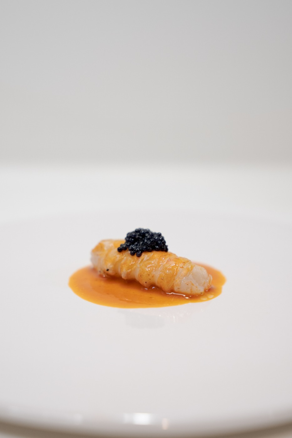 DSC08155.jpg DSC08155.jpg