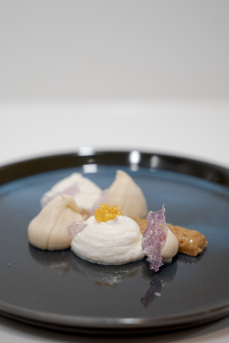 DSC08230.jpg DSC08230.jpg