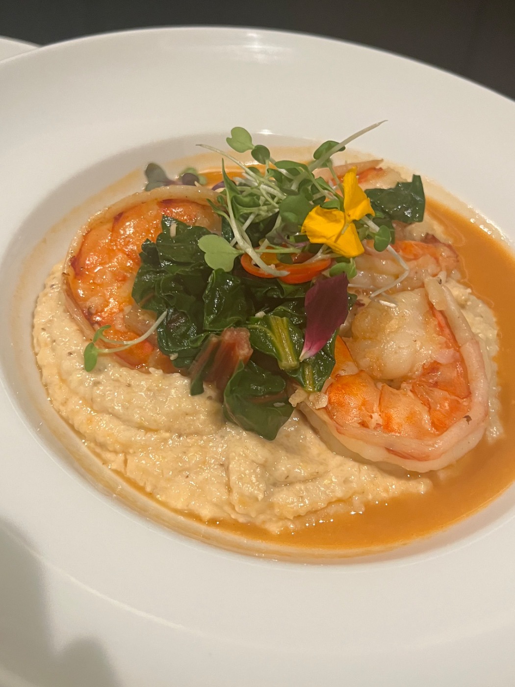 IMG_2941.jpeg IMG_2941.jpeg