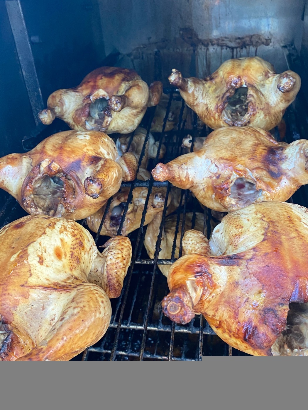 IMG_2103.jpeg IMG_2103.jpeg