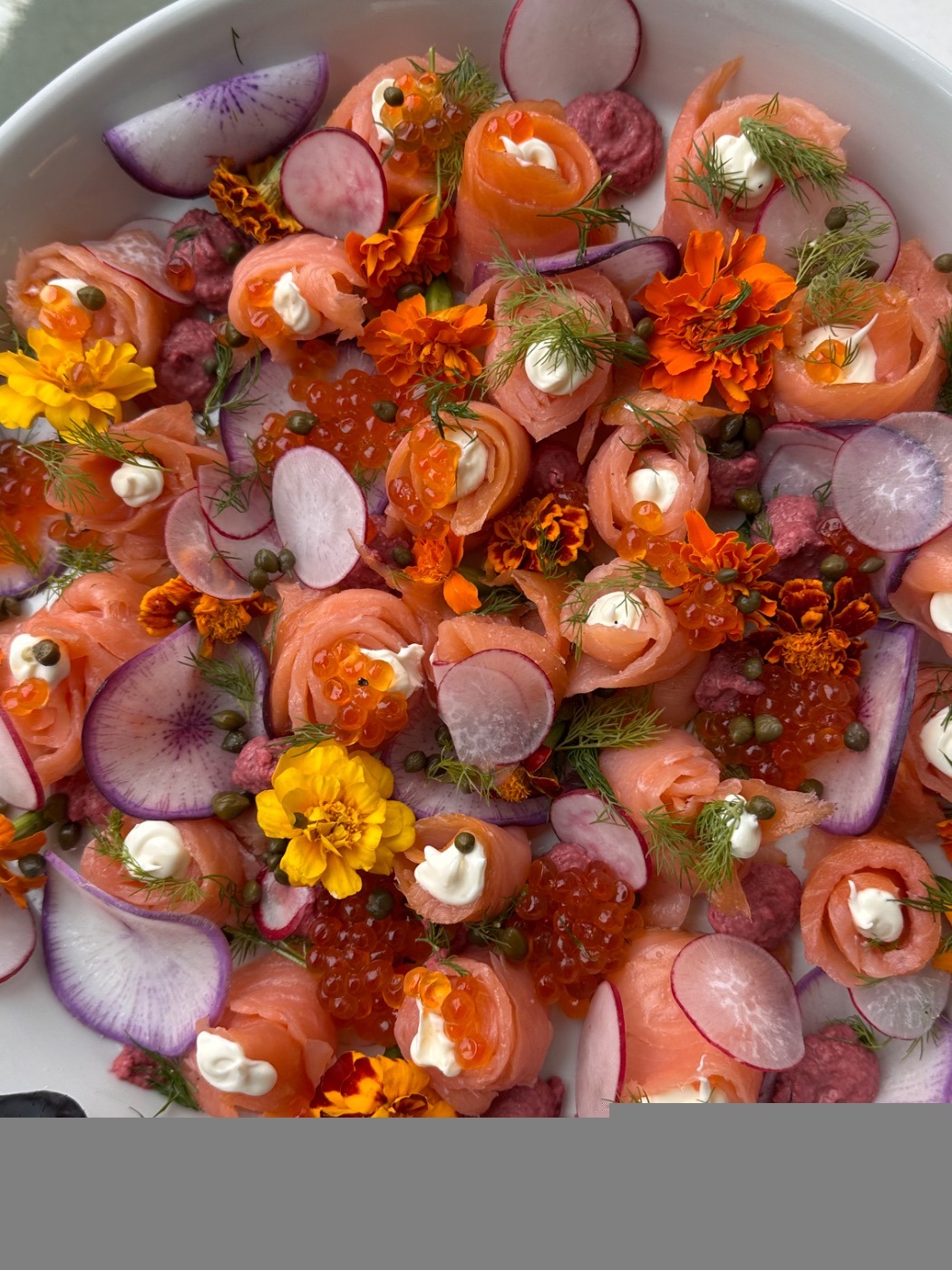 IMG_4443.jpeg IMG_4443.jpeg