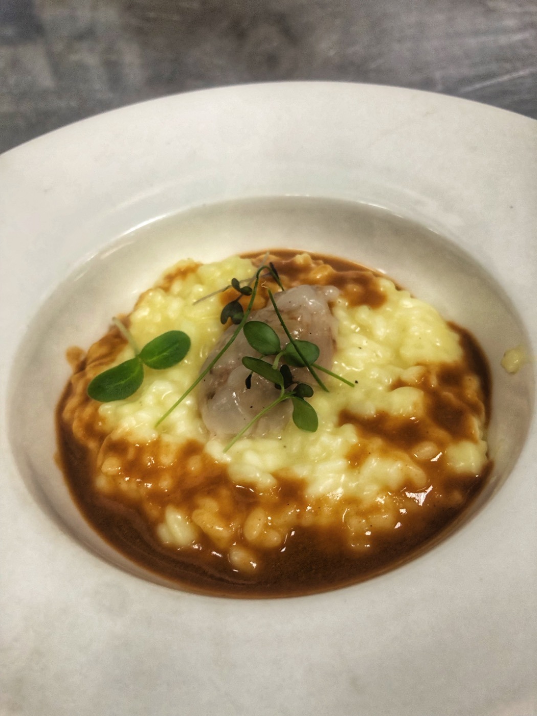 IMG_0675.jpeg IMG_0675.jpeg