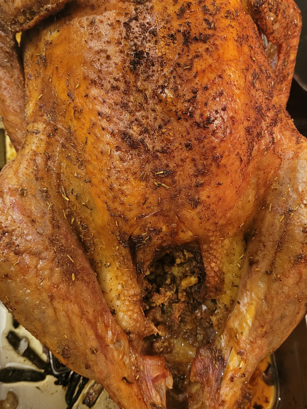 20231125_225706.jpg 20231125_225706.jpg