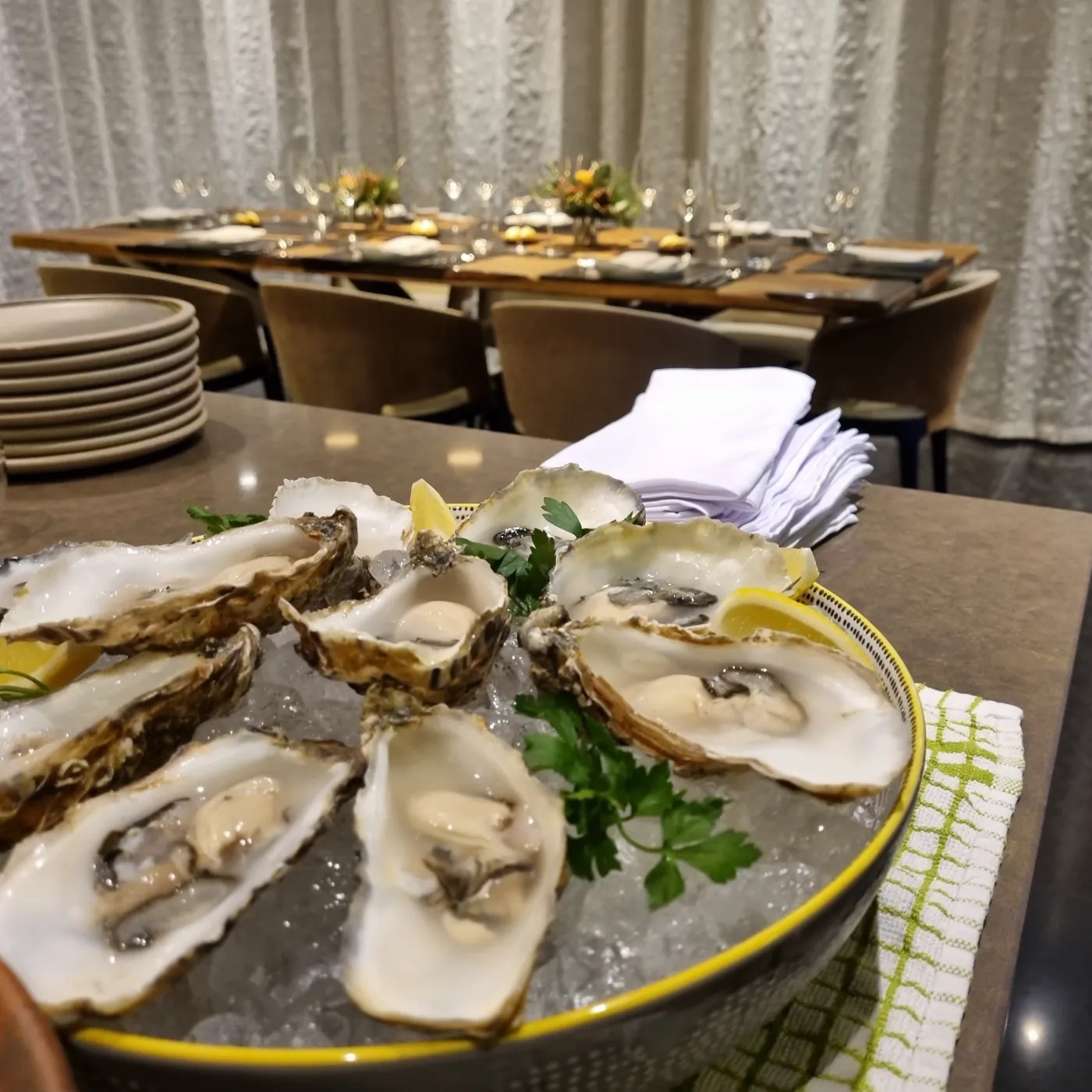 oysters.jpg
