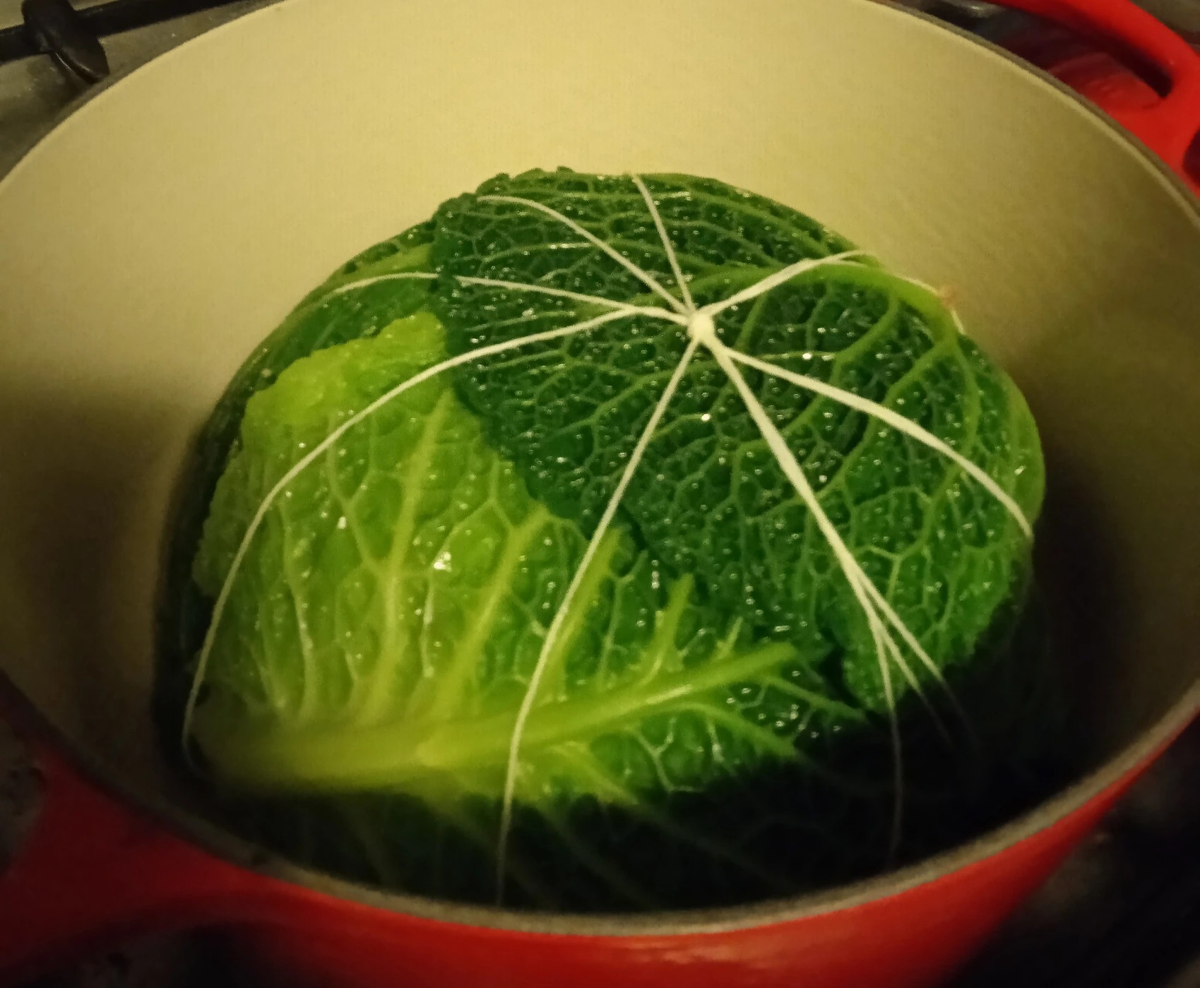 IMG_20220122_201826.jpg