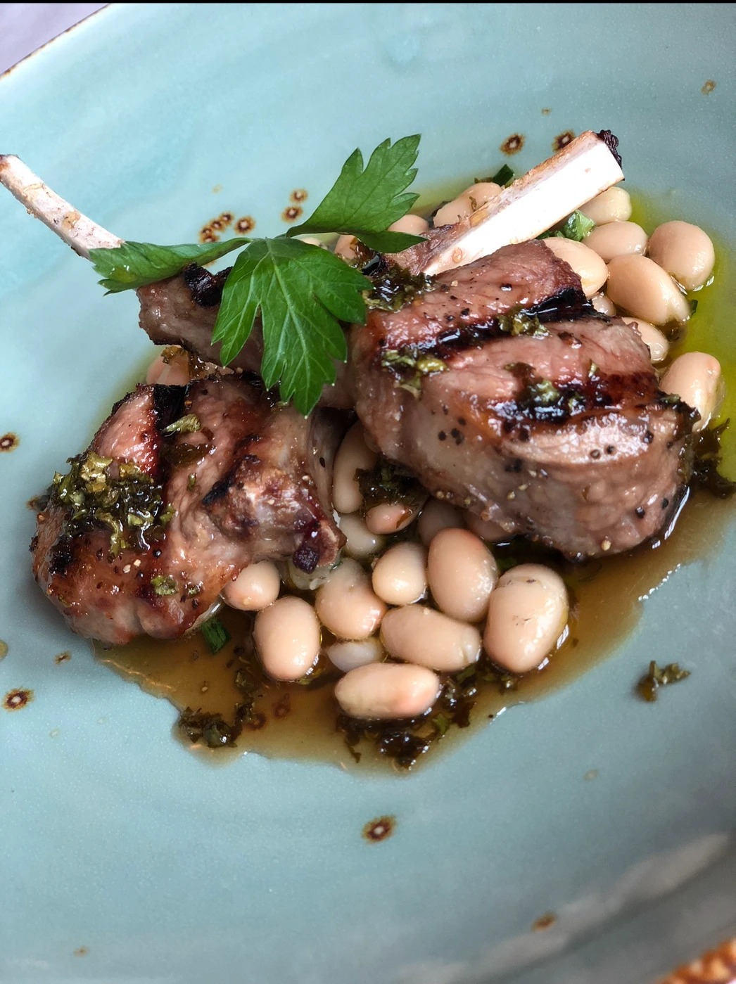 IMG_3684.jpg IMG_3684.jpg