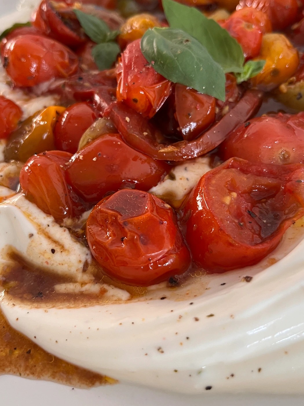 Tomato.jpg