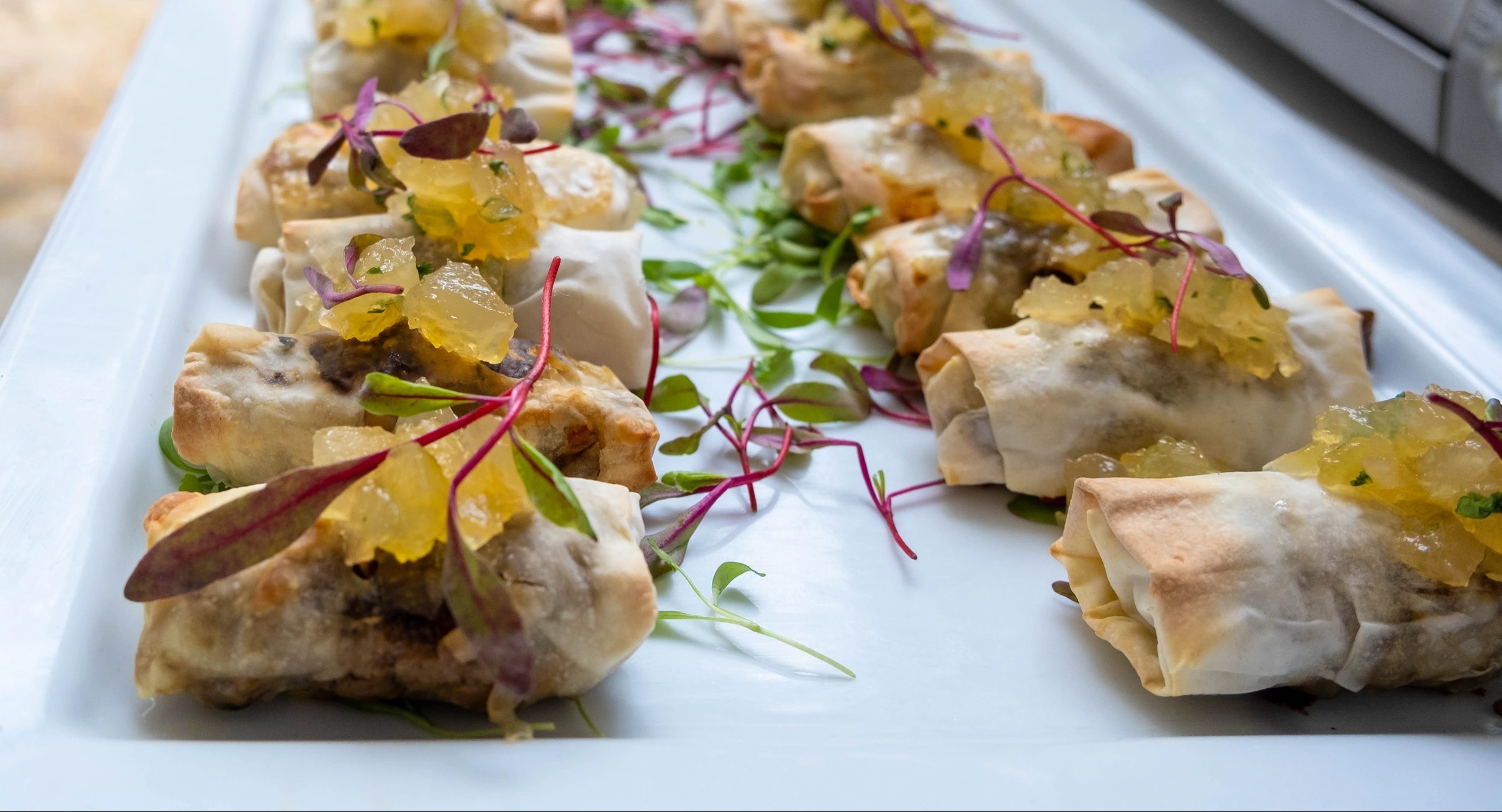 Phyllo.jpg Phyllo.jpg