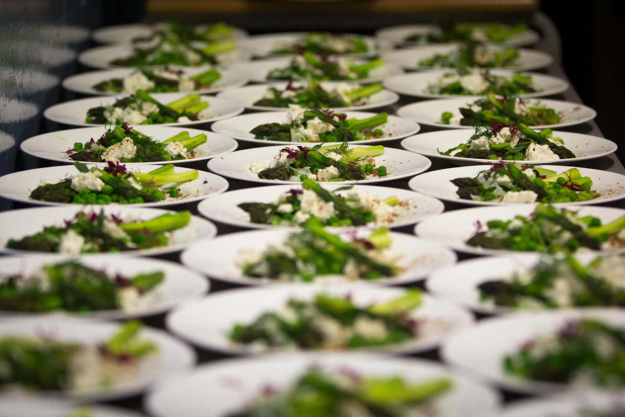 Feast May 2014-6.jpg