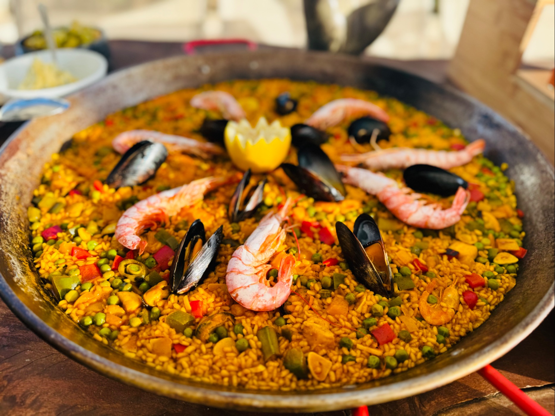 IMG_5600.jpeg IMG_5600.jpeg