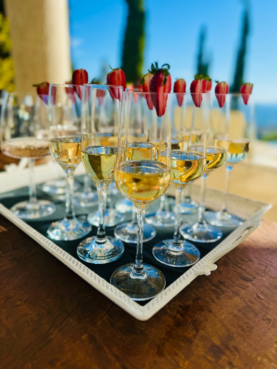 IMG_5565.jpeg IMG_5565.jpeg