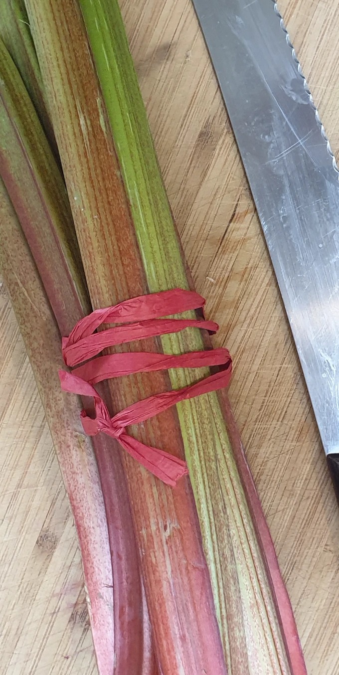 20190413_140234.jpg