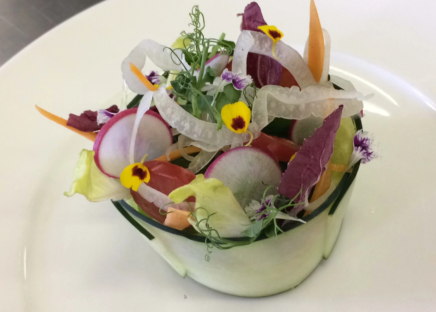 IDHL8992.jpg IDHL8992.jpg