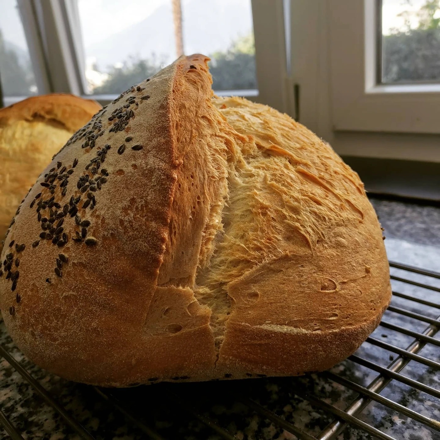 120842394_151869673272859_904130993715848757_n.jpg 120842394_151869673272859_904130993715848757_n.jpg