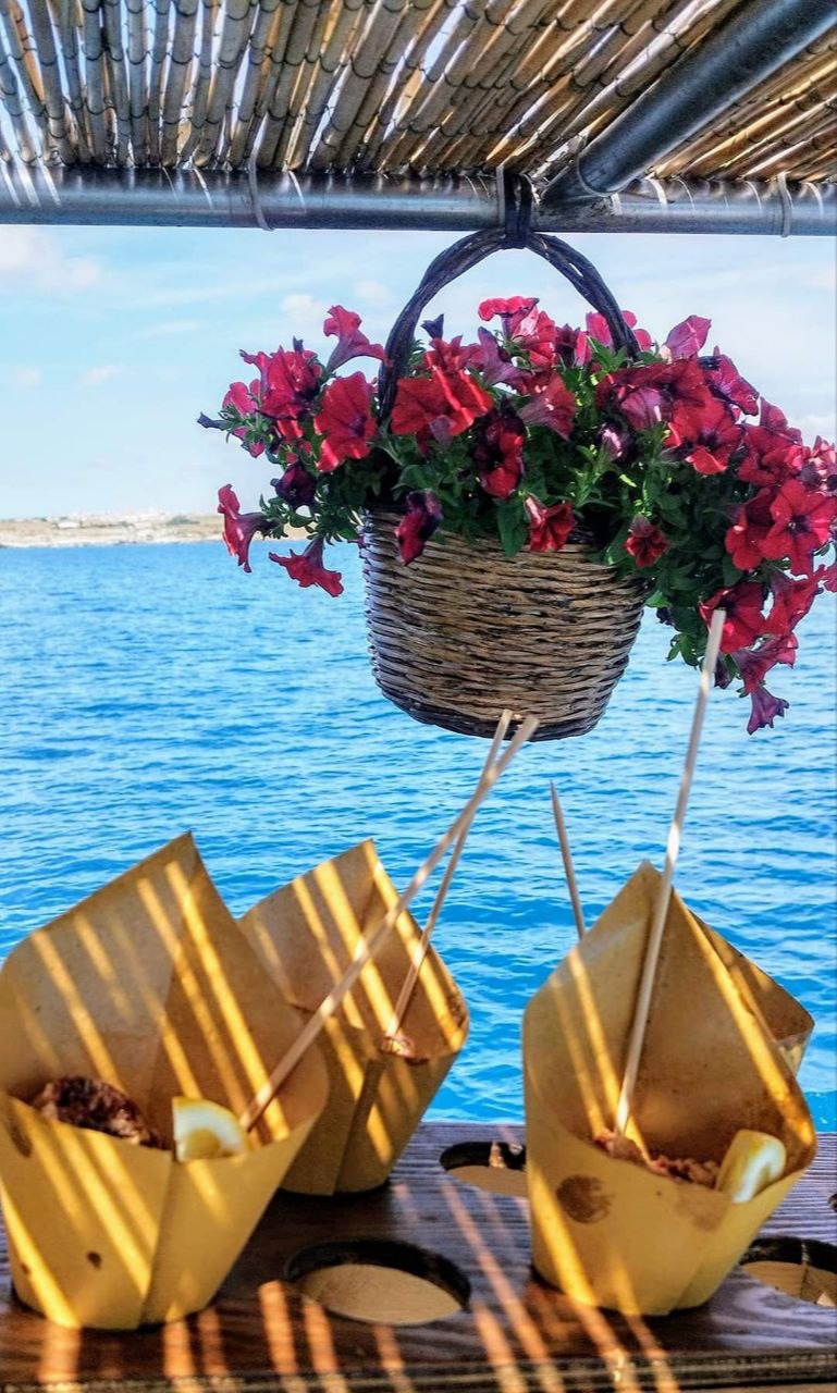 photo_2024-06-28 17.34.19.jpeg photo_2024-06-28 17.34.19.jpeg