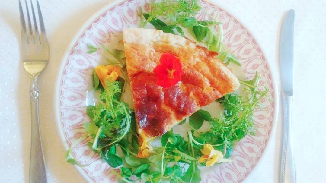 pecorino pie.jpg