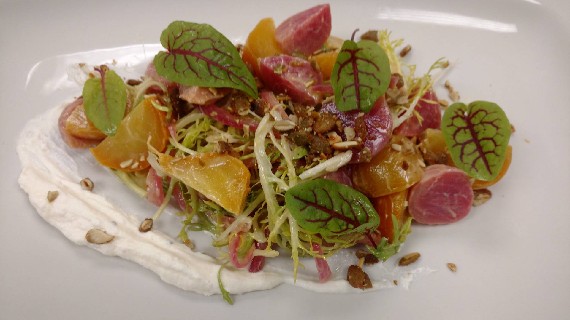 HEIRLOOM BABY BEET SALAD GOAT CHEESE MOUSE CANDIED PEPITOS RED SORREL.jpg HEIRLOOM BABY BEET SALAD GOAT CHEESE MOUSE CANDIED PEPITOS RED SORREL.jpg