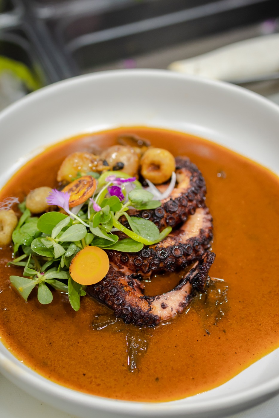 EC277BC8-9421-4650-8DC4-9E8DC9C257D5.jpeg EC277BC8-9421-4650-8DC4-9E8DC9C257D5.jpeg