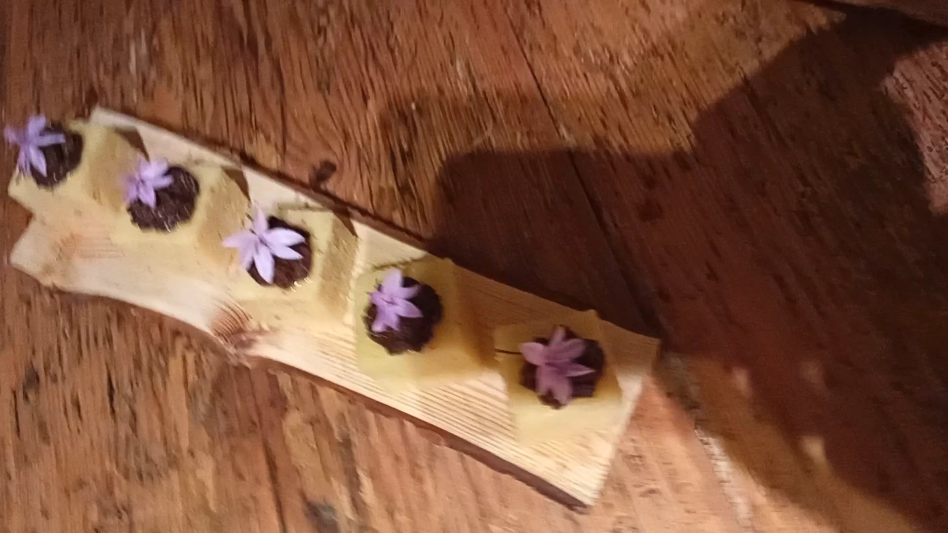 VideoCapture_20241007-160702_1.jpg