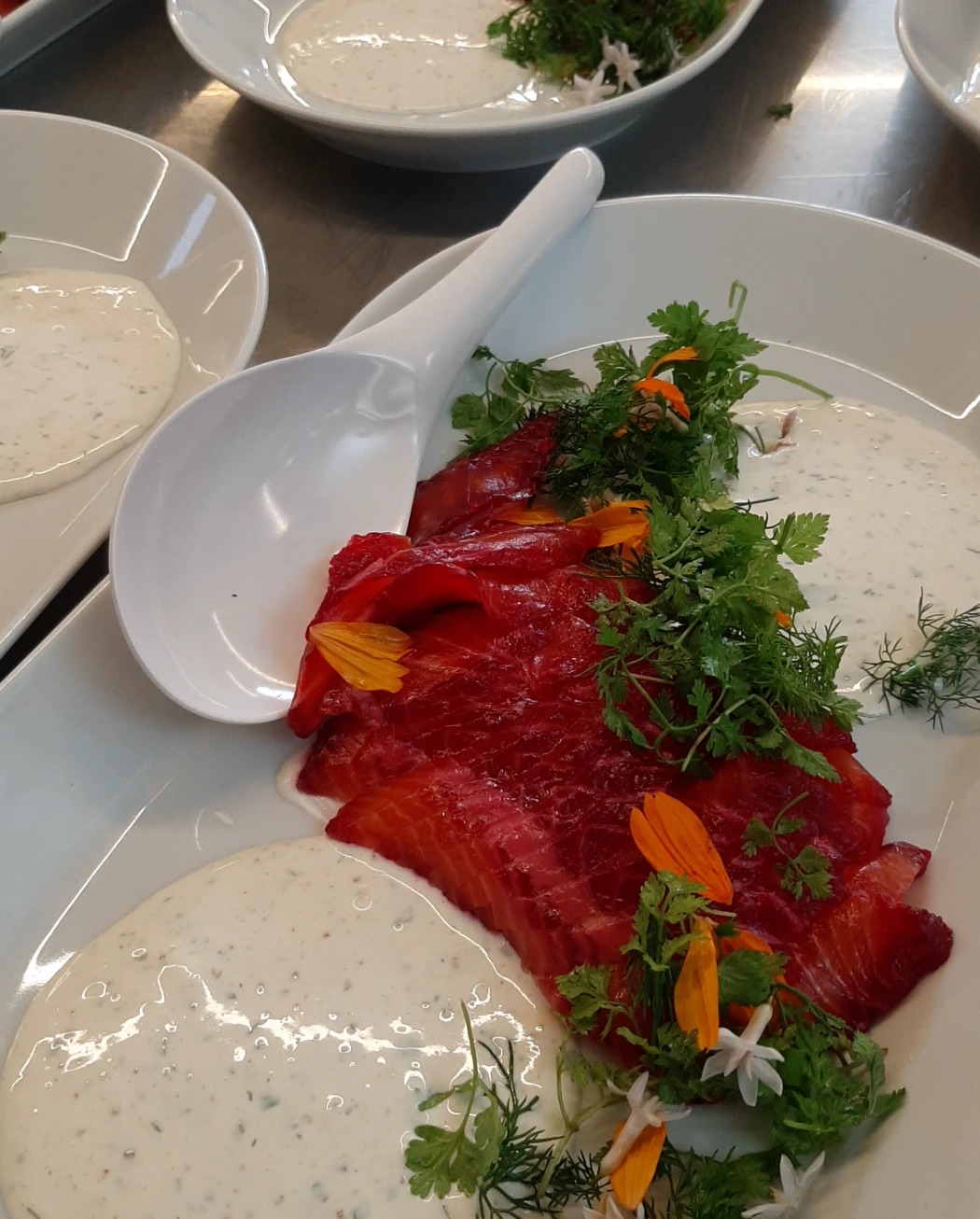 20240810_201032.jpg 20240810_201032.jpg