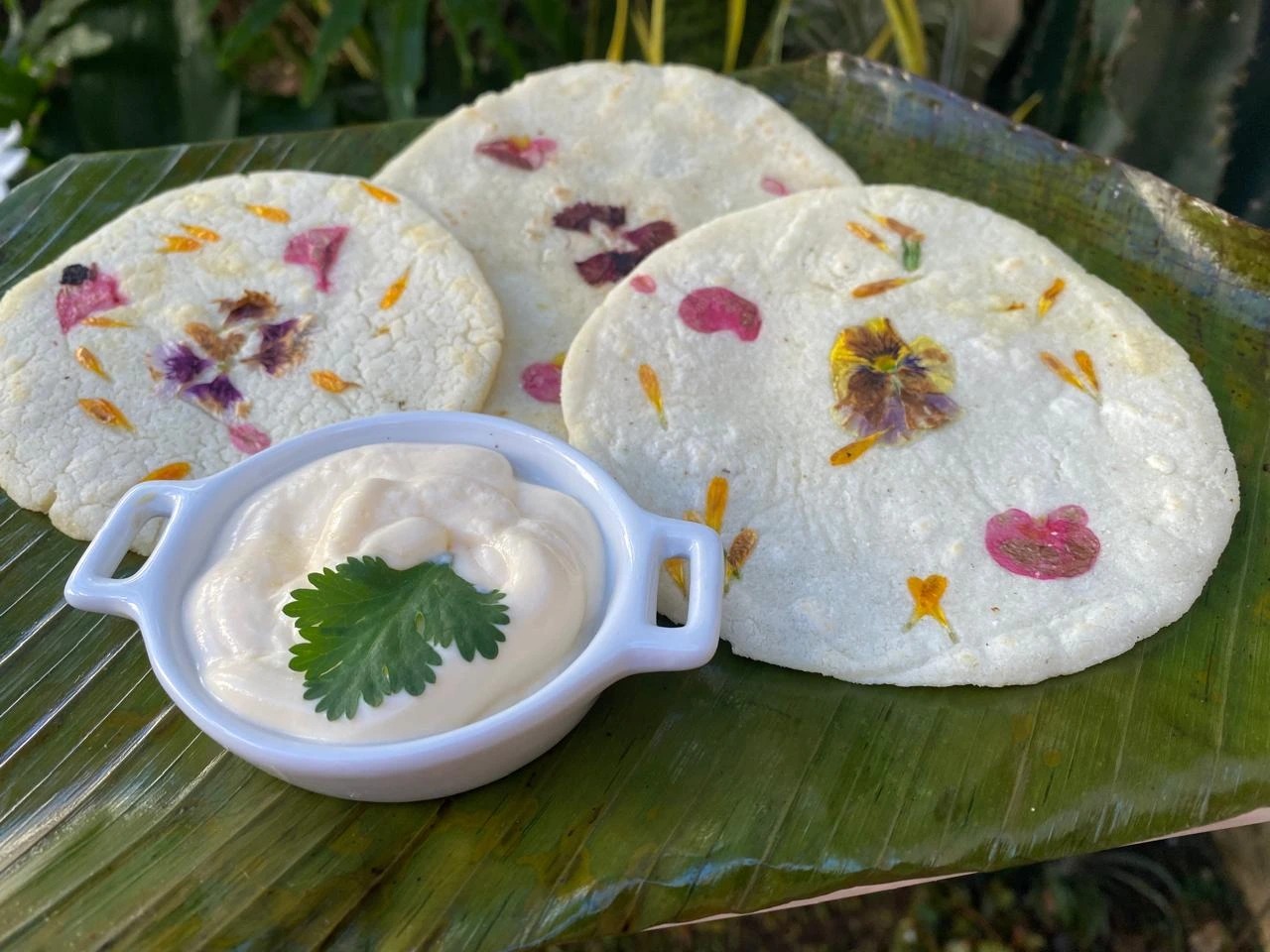 Tortillas palmeadas.jpeg
