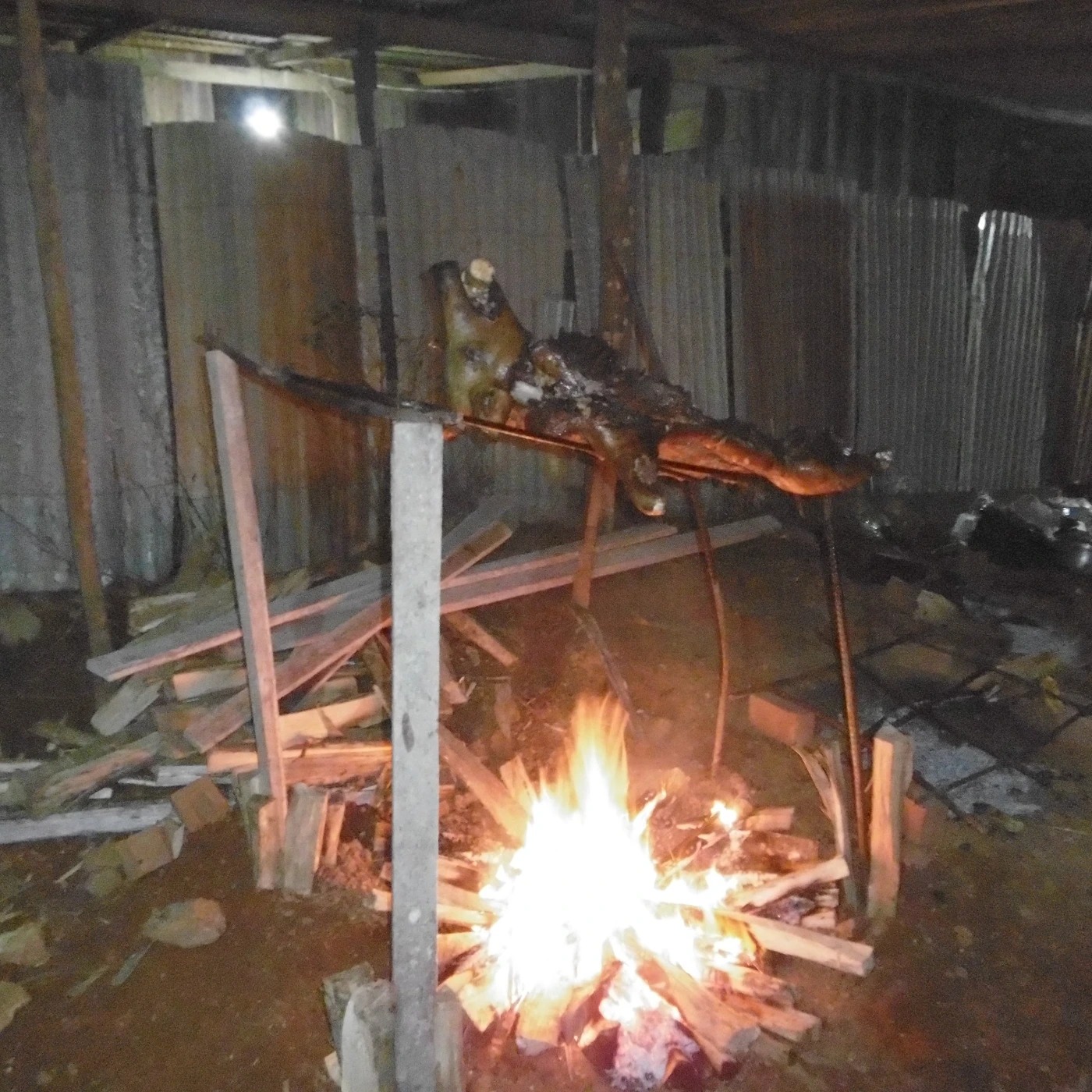 Chancho ayacucho 4.jpg