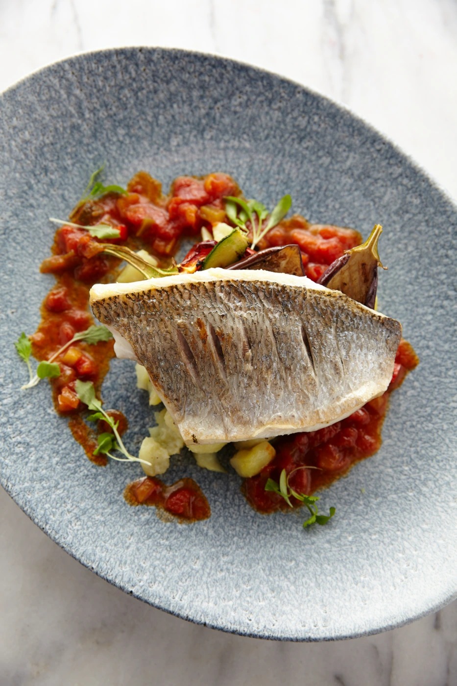 HiRes Sea Bream 1 .jpg