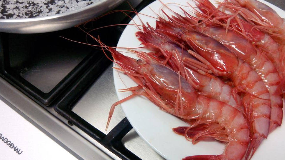 Gambas Gambas