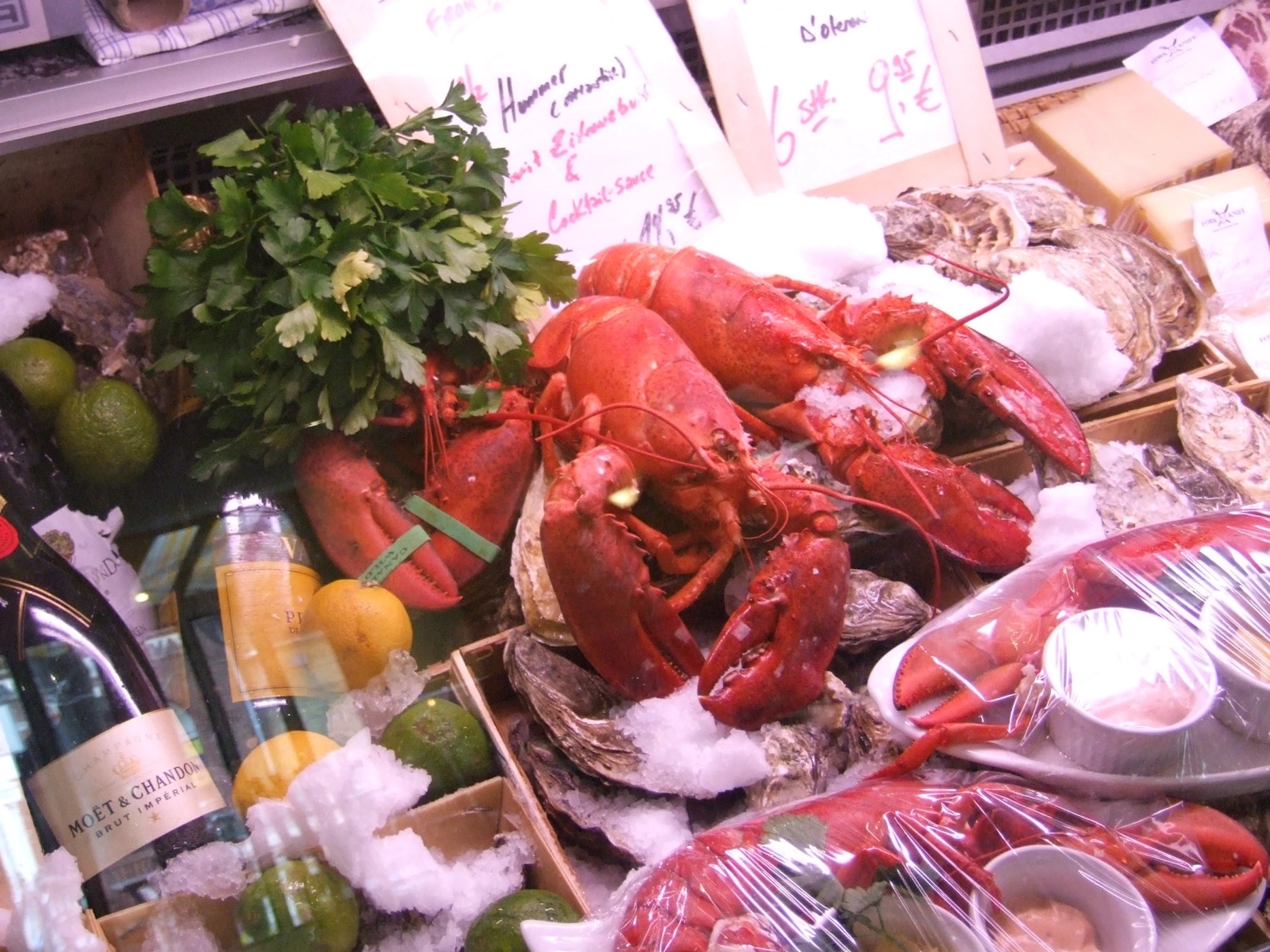 lobster 121.jpg